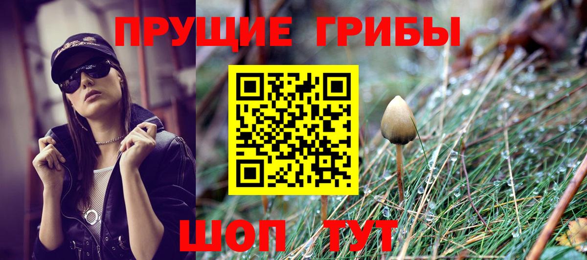 Галлюциногенные грибы MAGIC MUSHROOMS  Вход с VPN  наркота  Ртищево 