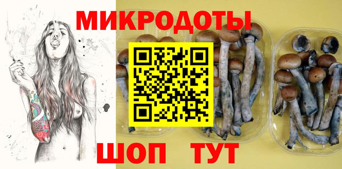 Псилоцибиновые грибы Psilocybe Ртищево